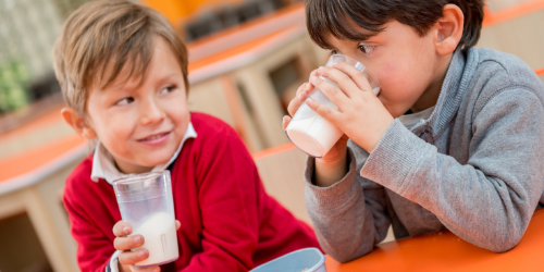 Two young boys drinking milk together